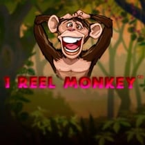 1 Reel Monkey