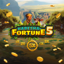 Habesha Fortune 5